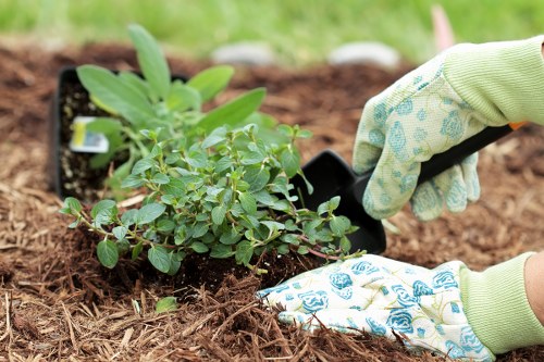 Volunteers sorting reusable garden pots for charity distribution