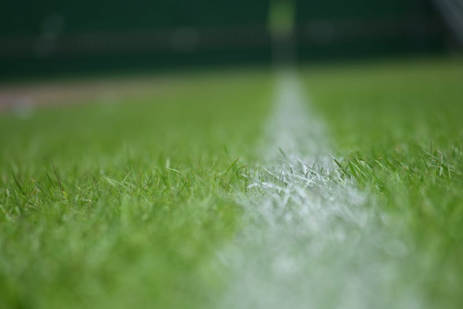 A close-up view of a well-maintained grassy lawn showing evenly mowed blades of vibrant green grass with a slightly textured surface. In the background, a fine spray of water is visible, indicating la